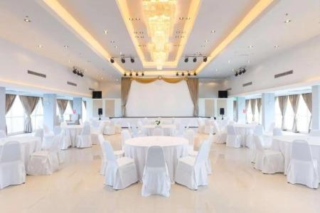 Top View - Sha Extra Plus - 20