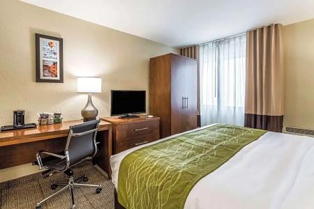 Comfort Inn & Suites Downtown - 65