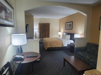 Quality Inn & Suites Dfw Airport South - 26