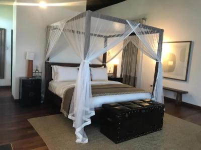The Postcard Galle - 52