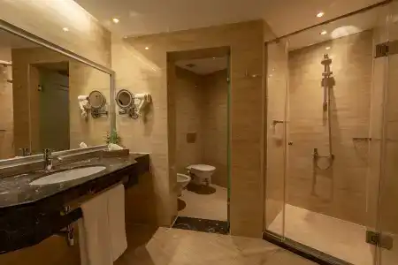Iberotel Palace - Adults Only - 49