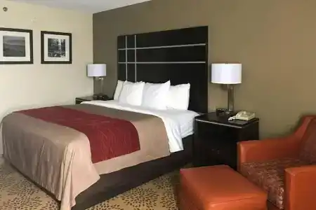 Comfort Inn - 30