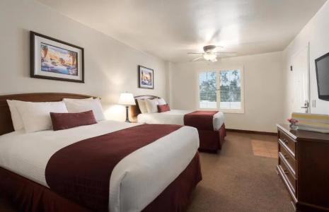 Palm Mountain & Spa - 75