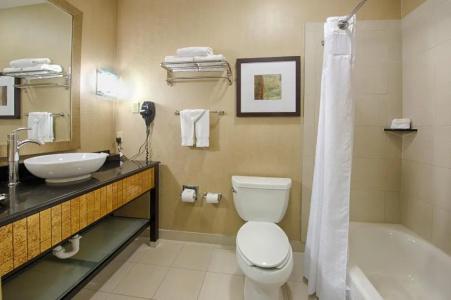 Holiday Inn Houston Westchase, An Ihg - 46