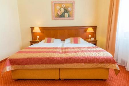 Ensana Centrální Lázně - Maria Spa - 68