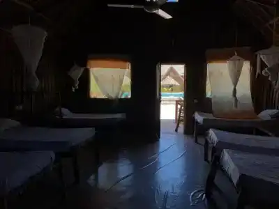 New Jambo Bungalows - 12