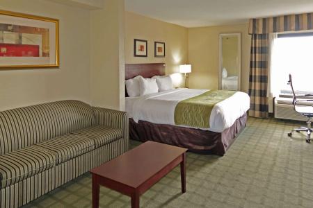 Comfort Inn & Suites Southwest Freeway at Westpark - 54