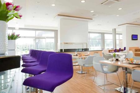 Ibis Bursa - 13