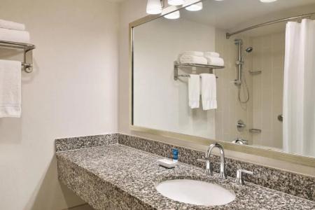 Four Points by Sheraton & Conference Center - 46