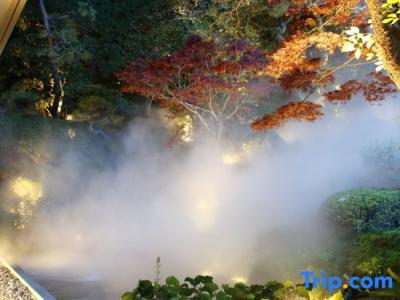 Shiraishiya - 3