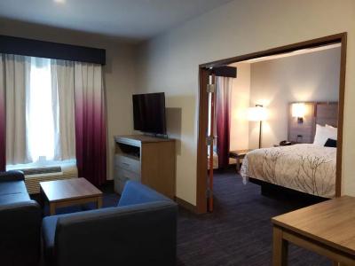 Best Western Plus San Antonio East Inn & Suites - 71