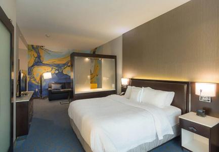 SpringHill Suites by Marriott Fossil Creek - 48