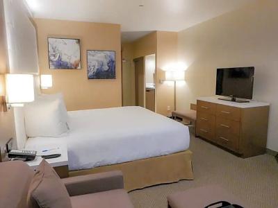 Wyndham Anaheim - 37