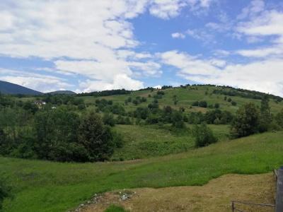 Blazenka Hodak - 34