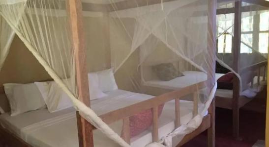 Mnana Beach Bungalows - 24