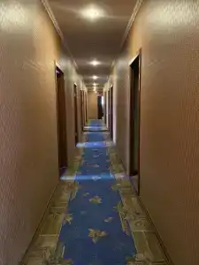 Барон - 9