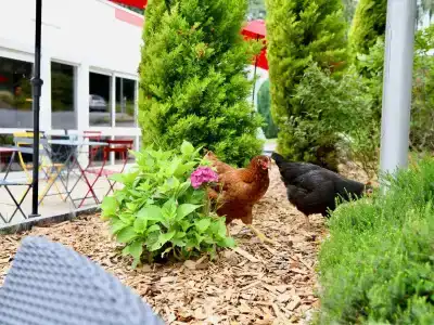 ibis Quimper - 18