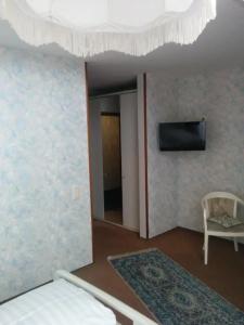 Seemöwe - 17