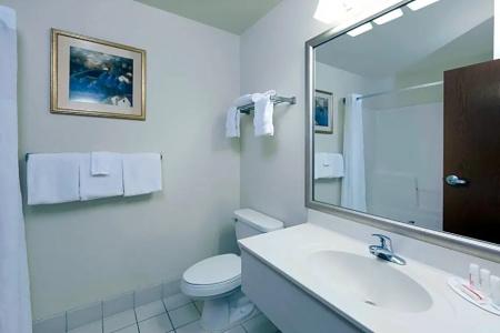 Baymont by Wyndham Airport - 40