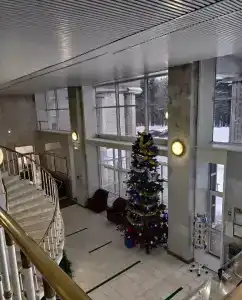Вольгинский - 1