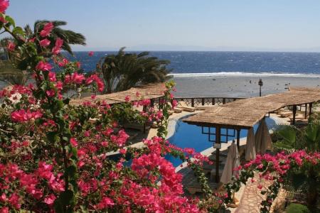 Nesima Resort - 8
