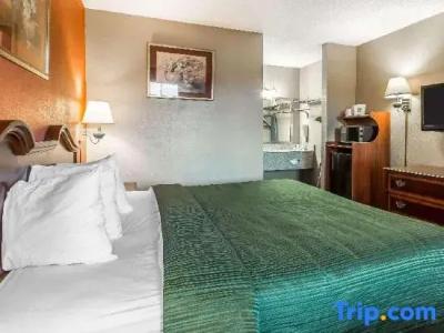 Quality Inn & Suites North - 25