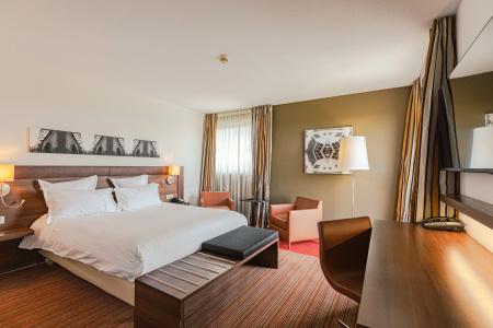 Holiday Inn Mulhouse, An Ihg - 38
