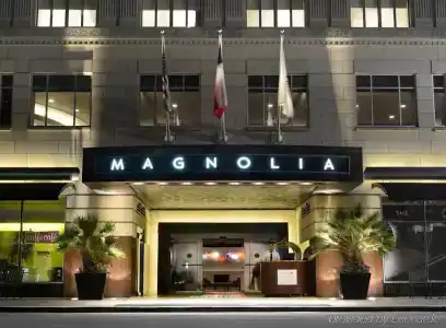 Magnolia Houston, a Tribute Portfolio - 0