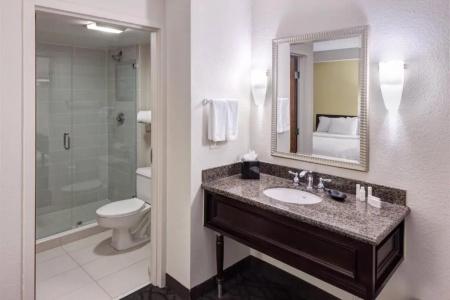 SpringHill Suites by Marriott Dallas Downtown / West End - 37