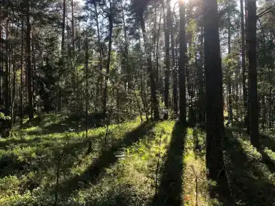 Vezzika - 9