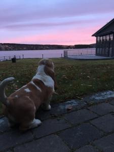 l Östersund - 38