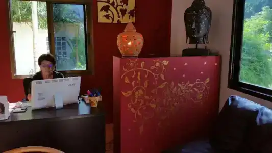 Bamboo - 0