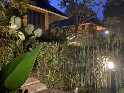 Pura Vida - 52