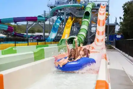 Sea World - 56