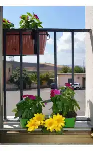 B&B Stazione Dittaino - 11