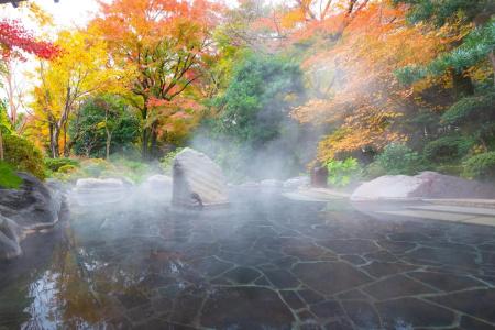 Yoshiike Ryokan - 15