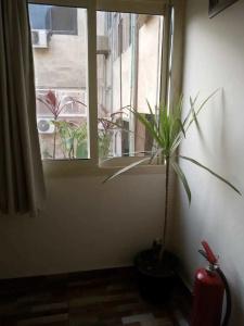 New Cairo Heart - 5