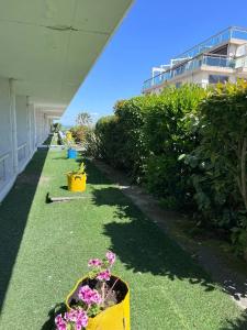 Hôtel Point France - 71