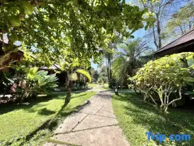 Pai Hotsprings Spa - 40