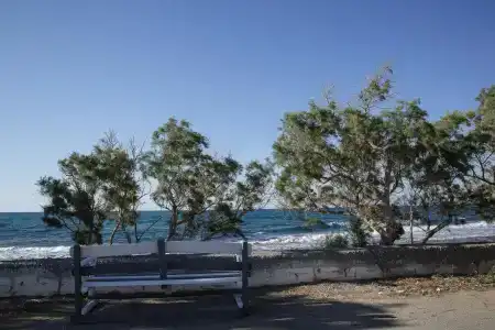 Irene Beach - 11