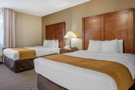 Comfort Inn South - 6