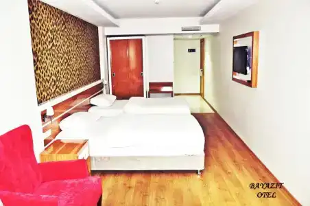 Bayazıt - 66