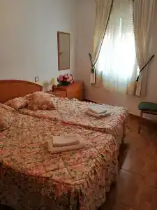 Paloma - 48