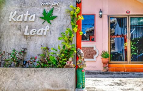 Kata Leaf - Sha Extra Plus - 62