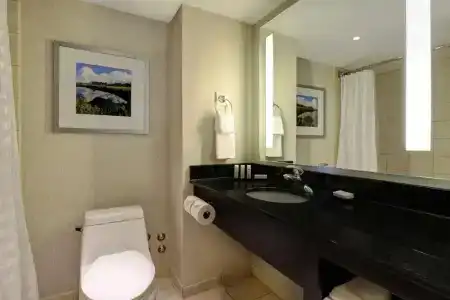 Embassy Suites by Hilton/ Fallsview - 56