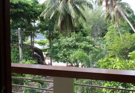Ocean View Resort - 91