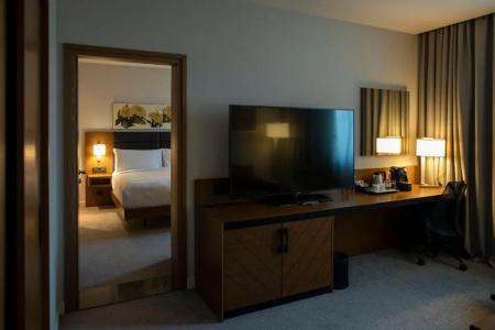 Hilton Garden Inn Tbilisi Chavchavadze - 60