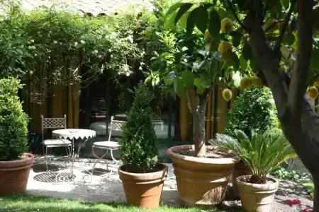 Jardins Secrets - 27