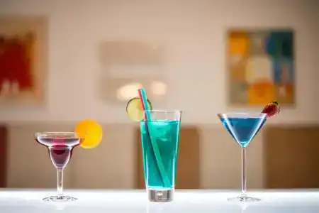 The Ziba & Spa - 6