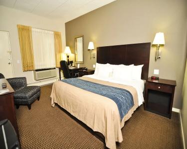 Comfort Inn - 48